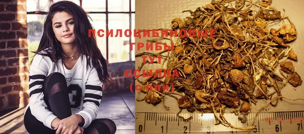 дурь Михайлов