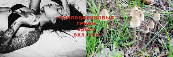 первитин Михайловск