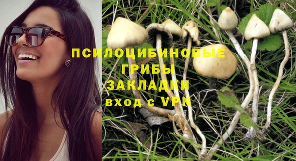 дурь Михайлов