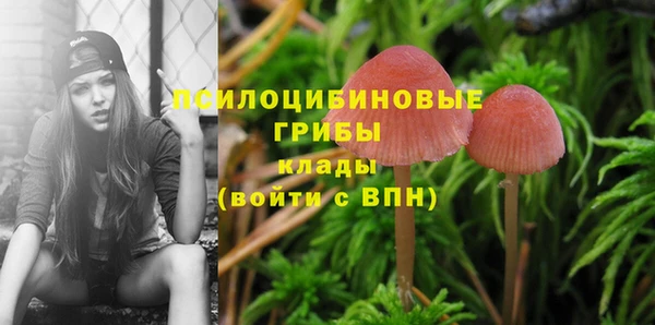 бутират Михайловка