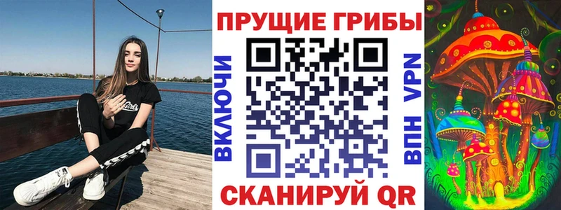 Псилоцибиновые грибы Psilocybine cubensis  Бикин 