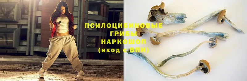 Псилоцибиновые грибы MAGIC MUSHROOMS  купить  сайты  Бикин 